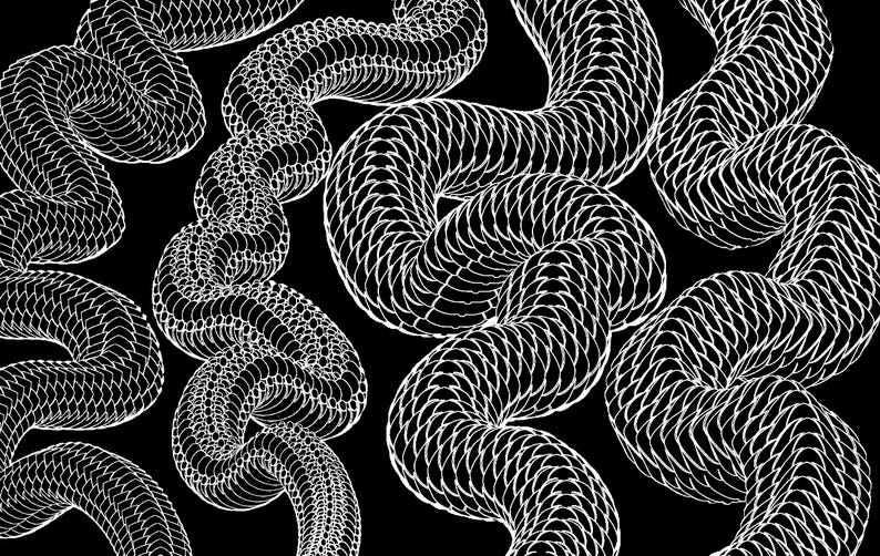 May include: A black and white graphic pattern featuring multiple winding, snake-like forms. Each form is composed of repeating, overlapping white scale-like shapes that create a textured, serpentine appearance against a solid black background.