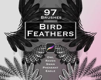 Könnte beinhalten: Eine digitale Grafik mit 97 Pinseln für Vogelfedern, einschließlich Eulen-, Raben-, Schwan-, Fasan- und Adler-Designs. Der Text lautet 97 BRUSHES BIRD FEATHERS, mit einem Procreate-Symbol in der Mitte und verschiedenen Federillustrationen.