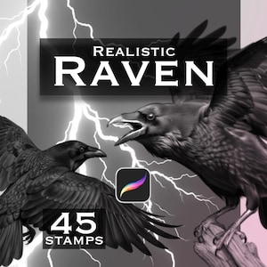 May include: A digital graphic featuring two black ravens against a background of white lightning bolts. The text REALISTIC RAVEN is centred at the top, with 45 STAMPS below it. A colourful Procreate app icon is positioned between the two birds.