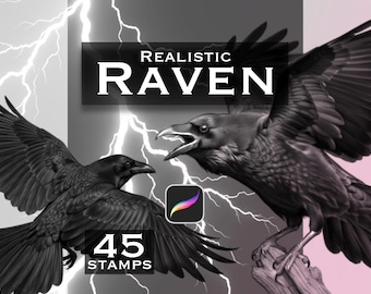 Puede incluir: Un gráfico digital que muestra dos cuervos negros sobre un fondo de rayos blancos. El texto REALISTIC RAVEN está centrado en la parte superior, con 45 STAMPS debajo. Un icono colorido de la aplicación Procreate se sitúa entre las aves.