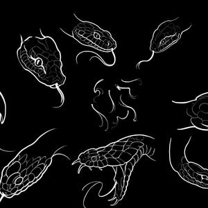 May include: A collection of white line art illustrations depicting various snake heads on a solid black background. The drawings show snakes in different positions, including some with open mouths, visible fangs, and extended forked tongues.