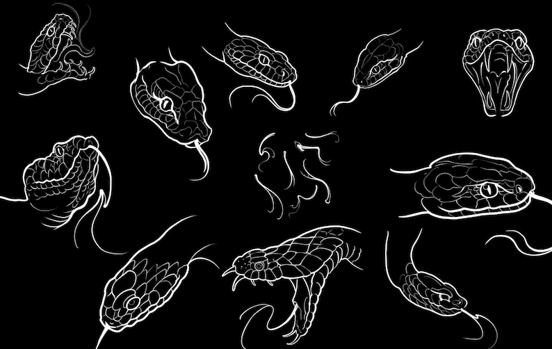 May include: A collection of white line art illustrations depicting various snake heads on a solid black background. The drawings show snakes in different positions, including some with open mouths, visible fangs, and extended forked tongues.