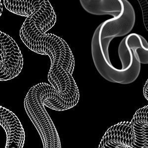 May include: A digital graphic featuring multiple white, winding, snake-like forms against a solid black background. Some shapes display a detailed, repeating geometric mesh pattern, while others appear as smooth, glowing, translucent white ribbons.