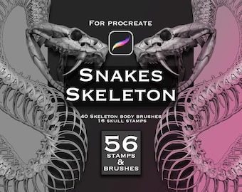 May include: A digital brush set for Procreate featuring snake skeletons. The graphic displays two snake skulls and coiled spinal columns in gray and pink tones. Text includes FOR PROCREATE, SNAKES SKELETON, 40 SKELETON BODY BRUSHES, 16 SKULL STAMPS, and 56 STAMPS & BRUSHES.