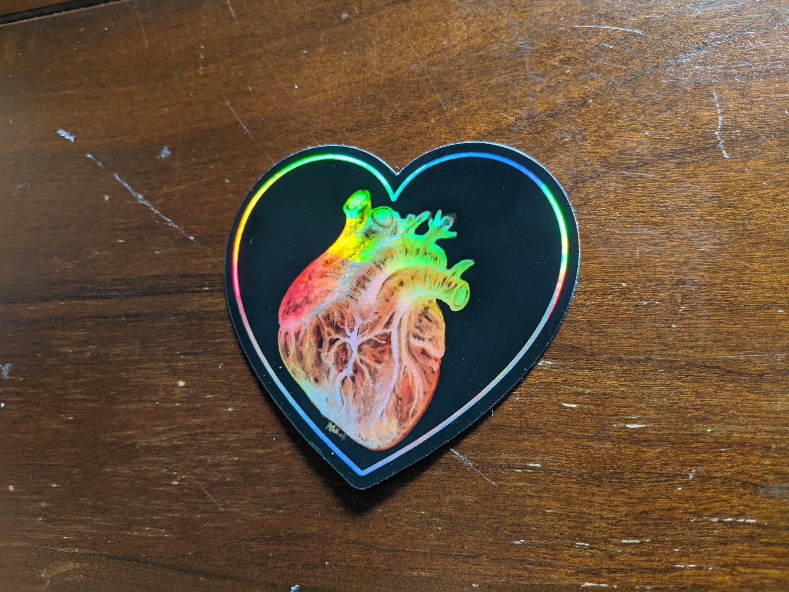 Holographic Anatomical Heart Sticker Etsy