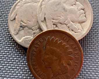 Collector Starter Set: Indian Head Penny & Buffalo Nickels • Authentic US Coins