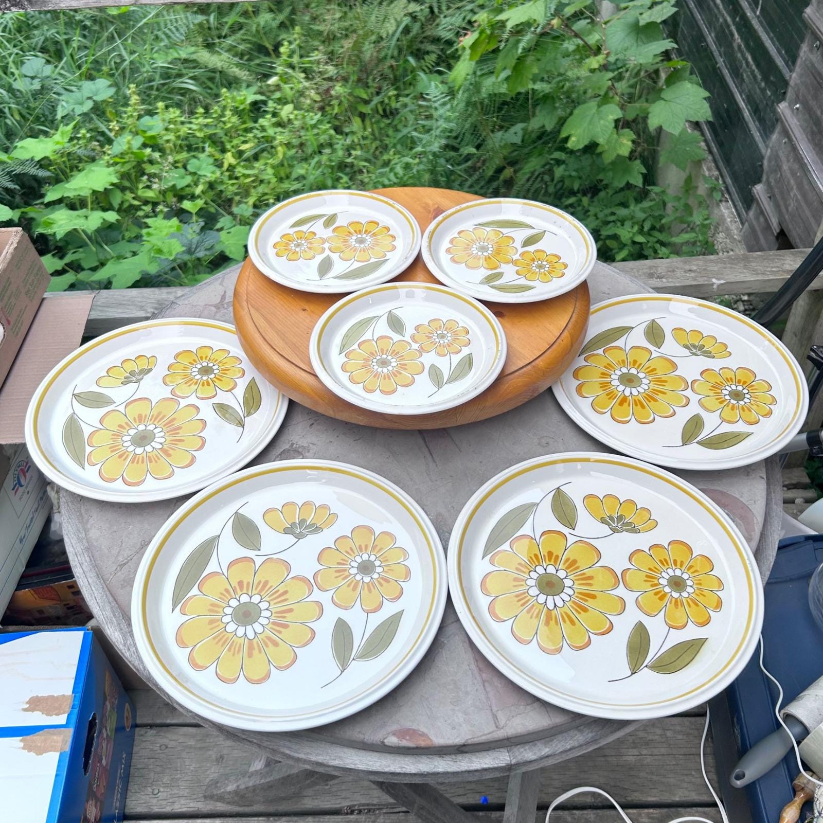Light N Lively Mikasa Plates - Etsy