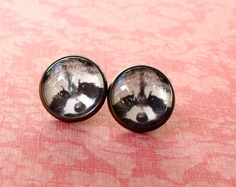 Black and white Raccoon Face Animal Cabochon Stud Earring,Earring Post,Cute Gift Idea