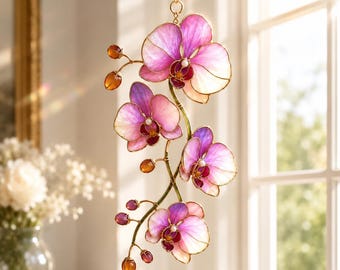 Phalaenopsis Singolo Tosha Orchid, Giant XXL Flower, Unique Birthday or Anniversary Gift, White or Purple Orchid in Pot