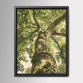 Tree Canopy Wall Art Print, Watercolor Green Botanical Forest Poster, Nature Decor, Calming Artwork