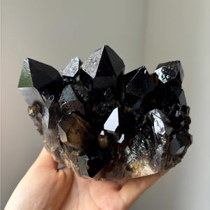 Könnte beinhalten: Ein Cluster aus dunklen, glänzenden schwarzen Kristallen mit scharfen, spitzen Spitzen. Die Kristalle sind dicht gepackt und bilden eine strukturierte Oberfläche. Die Basis des Clusters hat einen helleren, bräunlichen Farbton. Diese natürliche Formation ist ein beeindruckendes Beispiel für mineralische Schönheit.