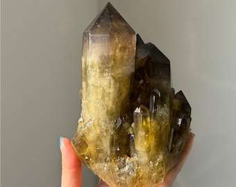 Grande gruppo di quarzo fumé / Campione di cristallo naturale grezzo per decorazione domestica e guarigione