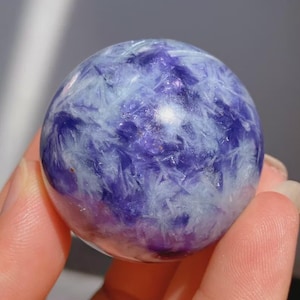 May include: A polished sphere of purple and white crystal. The crystal ball has a marbled appearance with a mix of deep purple and white crystalline structures. The sphere is held in a hand, with a soft, blurred background.