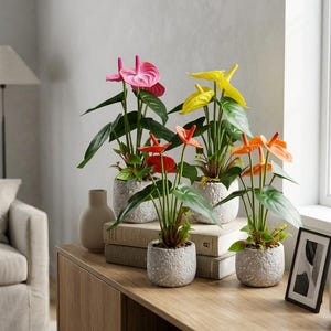 Anthurium Flower Arrangement - Etsy