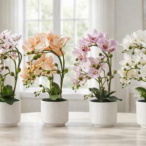 Real Touch Phalaenopsis Orchid – Faux Floral Arrangement in Ribbed Pot