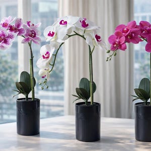 Real Touch Spotted Phalaenopsis Orchid in Black Pot - Artificial Faux Moth Orchid Arrangement - Modern Exotic Silk Flower Centerpiece