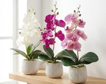 Real Touch Phalaenopsis Orchid – Faux Silk Flower Arrangement