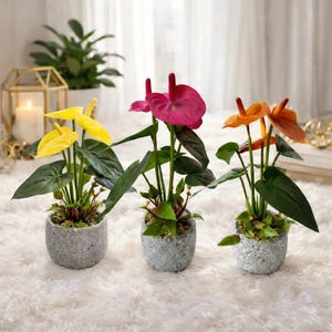 Real Touch Anthurium Potted Plant in Grey Stone Pot - Artificial Flamingo Flower Arrangement - Tropical Faux Houseplant Decor