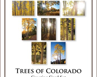 May include: A greeting card set titled Trees of Colorado featuring eight individual cards with photographs of aspen trees in autumn. The images display yellow leaves, sunbursts through branches, and forest landscapes under blue skies.