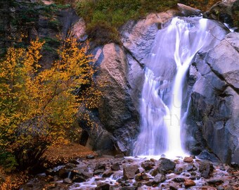 May include: A scenic photograph of a waterfall cascading over gray rocks. The water is a soft white, contrasting with the dark rocks and the golden-yellow foliage of a nearby tree. The scene evokes a sense of tranquility.