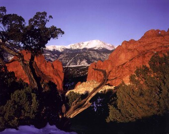 May include: A scenic view of a snow-capped mountain range in the distance, framed by red rock formations and a lone tree in the foreground. The sky is a vibrant blue, and the scene is bathed in the warm glow of the setting sun.