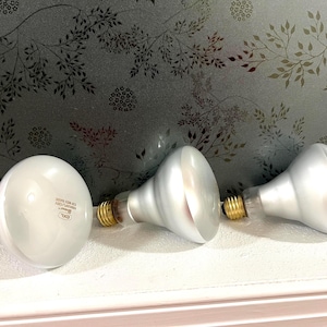 BR30 Flood Light Bulb, 65W 120V Incandescent, Dimmable