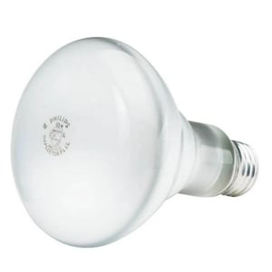 May include: A clear, pear-shaped light bulb with a silver base. The bulb has the text "PHILIPS 65W" printed on it. The bulb is designed for reflector use.