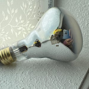 May include: A large, clear light bulb with a gold base and a silver-coated glass enclosure. The bulb is lying on a white surface, reflecting the surroundings. The bulb's filament is visible inside the glass.
