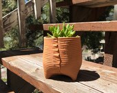 Terra Cotta Ribs Textured Ceramic Planter (Extra Small Tall), Succulent Planter, Cactus Planter, Herb Pot, Flower Pot
