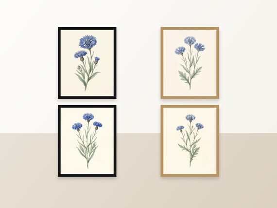 Set of 4 Wildflower Prints