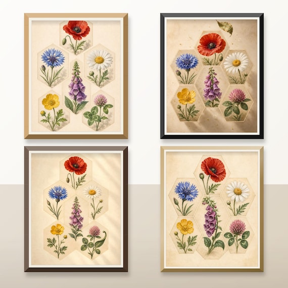 Set of 4 Hexagonal Wildflower Botanical Prints