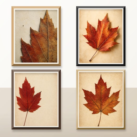 Set of 4 Maple Leaf Prints