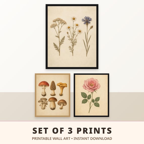 Set of 3 Botanical Prints