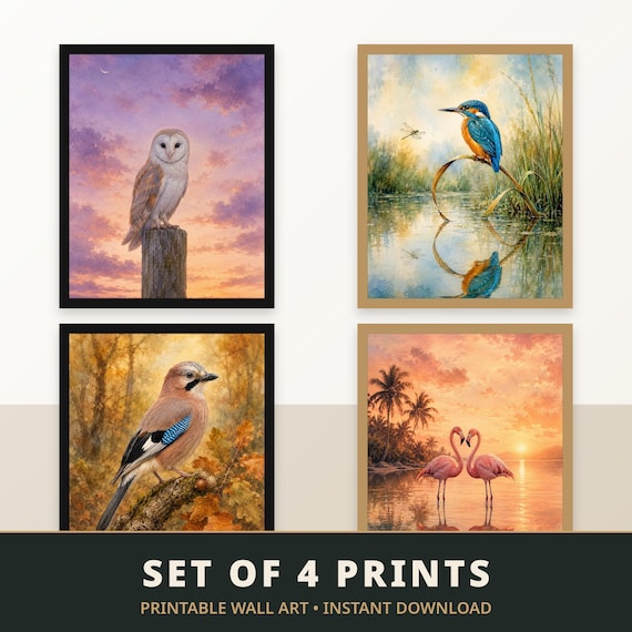 Set of 4 Bird Prints