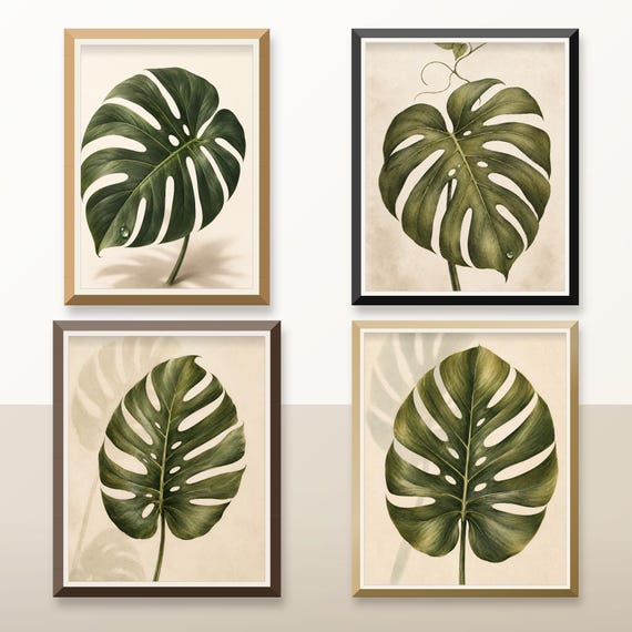 Monstera Leaf Water Prints