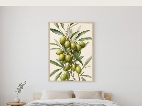 Set of 4 Olive Branch Prints