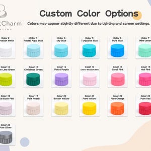 Pu&ograve; includere: Una tabella colori intitolata Custom Color Options di BrightCharm Printing che mostra ventisei piccoli contenitori cilindrici a coste in varie tonalit&agrave;, tra cui nero, bianco, blu, verde, viola, rosa, giallo, arancione, rosso, marrone e argento.