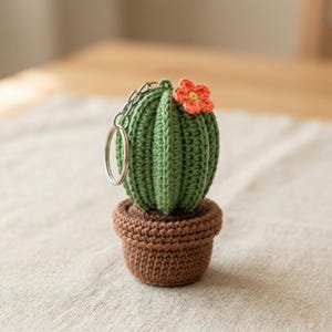 Patrón de llavero de cactus de ganchillo / Mini maceta de suculentas Amigurumi (Descarga digital)