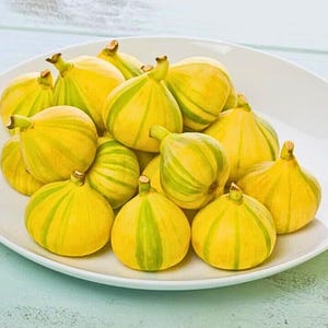 May include: A white plate filled with ripe figs. The figs are yellow with green stripes, and have a small stem. The figs are arranged in a pile, and the plate is on a light blue surface.