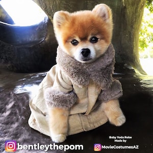 Dog Puppy Clothes Robe Inspired by Yoda Fan Made & Hand Made Costume Clothes High Quality Baby Style image 1