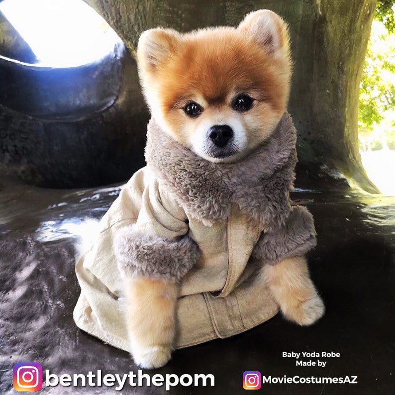 Dog Puppy Clothes Robe Inspired by Yoda Fan Made & Hand Made Costume Clothes High Quality Baby Style image 1