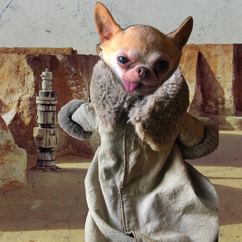 Dog Puppy Clothes Robe Inspired by Yoda Fan Made & Hand Made Costume Clothes High Quality Baby Style image 6