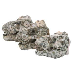 May include: Three stone dinosaur skull sculptures. The skulls are made of a speckled, beige, and gray stone. The skulls are detailed with visible teeth and eye sockets. The sculptures are arranged in a row, with the skulls facing the same direction.