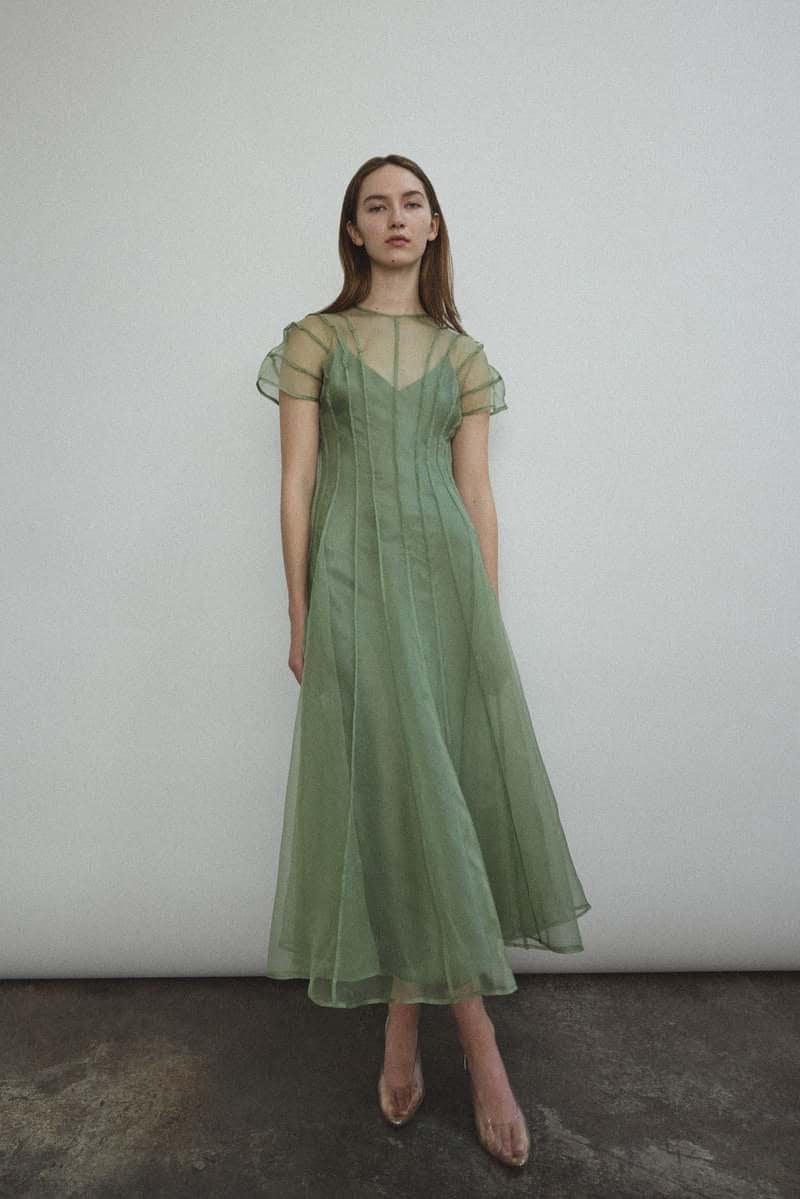 open lace back dress 2.18 Lisette Organza Overlay main image 0