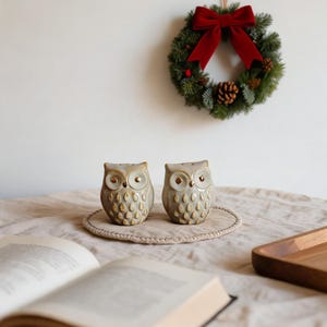 Owl Salt and Pepper Shakers, Cute Beige Owl Table Statues, Cozy Christmas Kitchen Decor, Housewarming Gift for Owl Lover