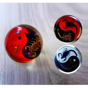 May include: Three spherical paperweights made of clear resin. One large sphere features a red and black yin-yang design with a spider and a scorpion inside. Two smaller spheres show scorpion motifs in red and black or white and black color schemes.