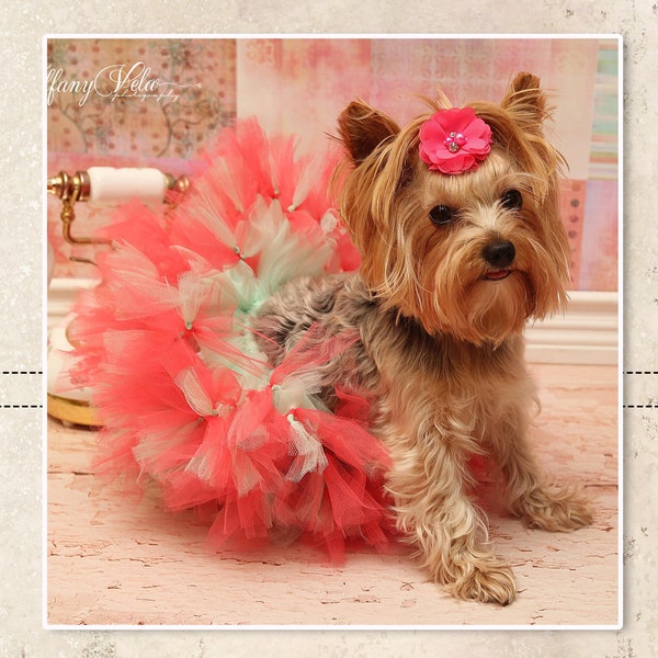 Miki's Rock Star Petti Tutu PDF Pattern sizes Small and Large Breed Dogs