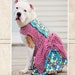 see more listings in the Dog patterns section