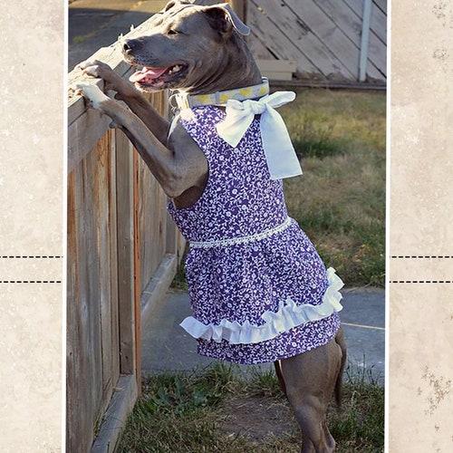 Poppy's Peekaboo Dress for Large Breed Dogs PDF Pattern Etsy