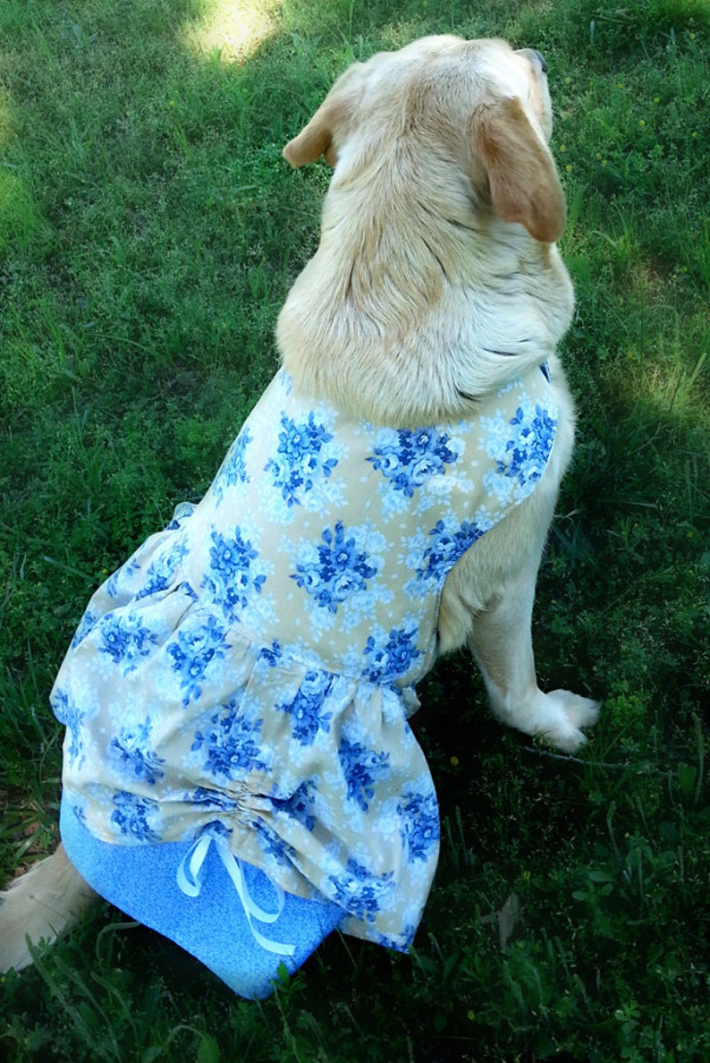 Poppy's Peekaboo Dress for Large Breed Dogs PDF Pattern sizes XS to XL image 6